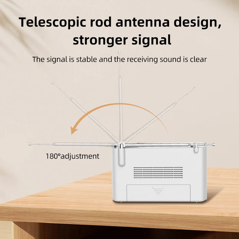 C5S Mini Portable FM Radio with USB Rechargeable Speaker
